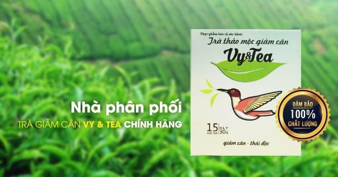 Trà Giảm Cân Vy Tea là gì?