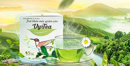 Trà Giảm Cân Vy Tea có nguồn gốc từ đâu?