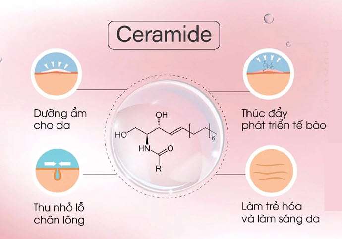 Ceramide mang đến nhiều công dụng cho làn da. Thành phần này rất an toàn và phù hợp với hầu hết loại da.