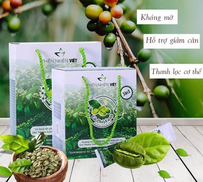 Thiên Nhiên Việt