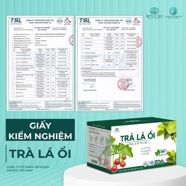 Trà Lá Ổi Giảm Cân My Chi 30 Gói | Hàng Chính Hãng